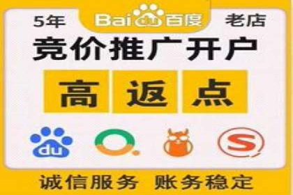 SEM竞价优化实战经验分享：成功案例背后的秘密